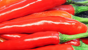 在线超级轰炸电话网页版