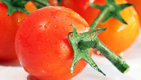 云呼网页版免费试用